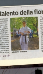 articolo11